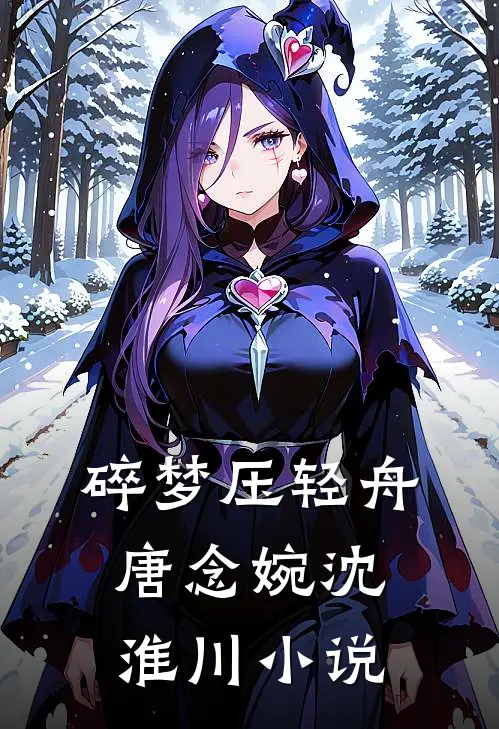 碎梦压轻舟唐念婉沈淮川小说