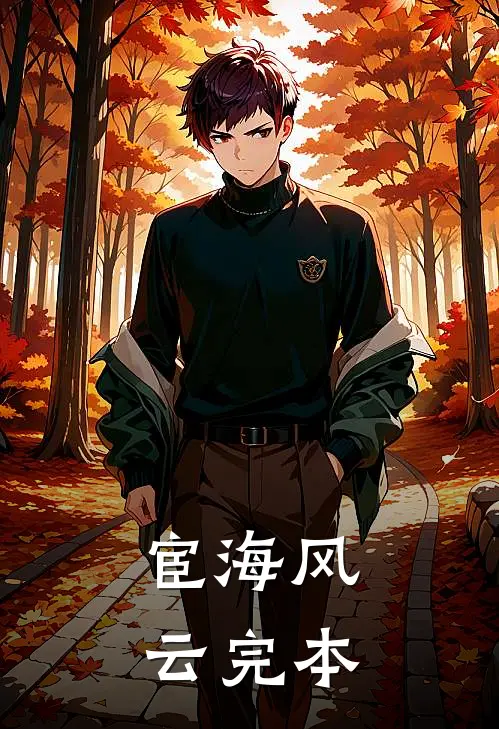 宦海风云完本