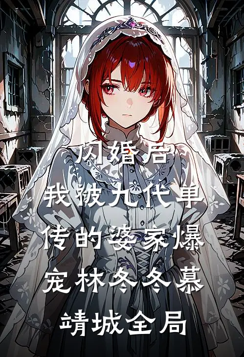 闪婚后，我被九代单传的婆家爆宠林冬冬慕靖城全局
