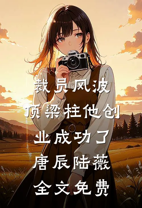 裁员风波：顶梁柱他创业成功了唐辰陆薇全文免费