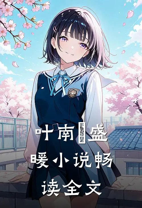 叶南烆盛暖小说畅读全文