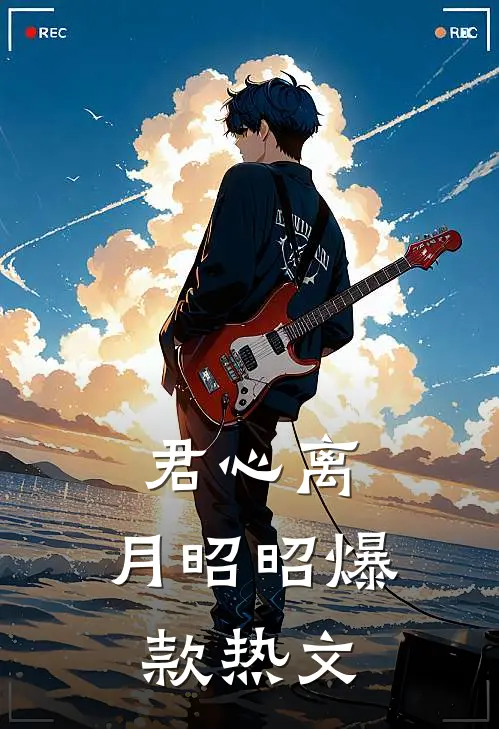君心离，月昭昭爆款热文