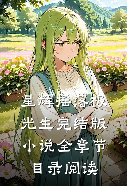 星辉摇落极光生完结版小说全章节目录阅读