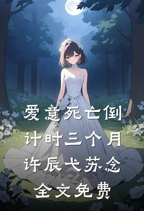 爱意死亡倒计时三个月许辰弋苏念全文免费