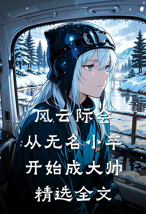风云际会：从无名小卒开始成大帅精选全文