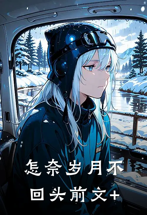 怎奈岁月不回头前文+