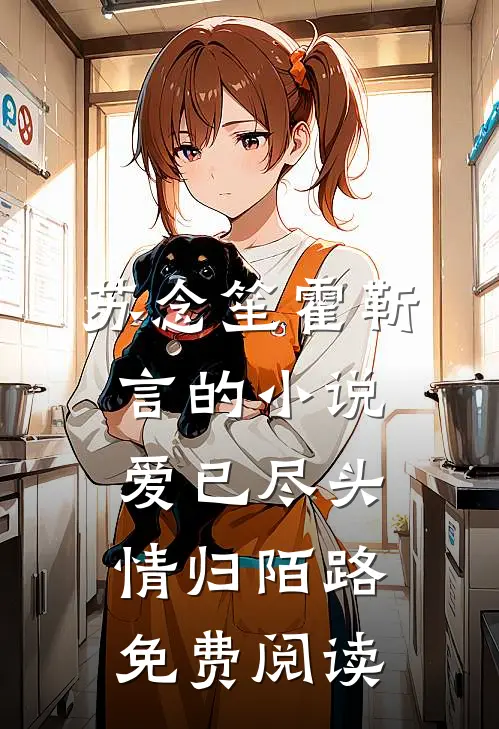 苏念笙霍靳言的小说爱已尽头，情归陌路免费阅读