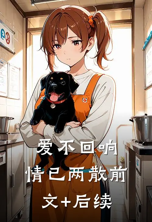 爱不回响，情已两散前文+后续