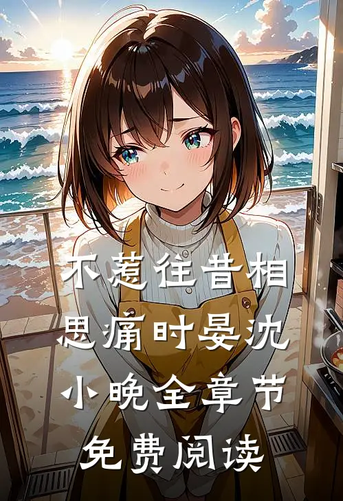 不惹往昔相思痛时晏沈小晚全章节免费阅读