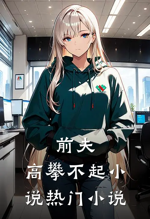 前夫,高攀不起 小说热门小说