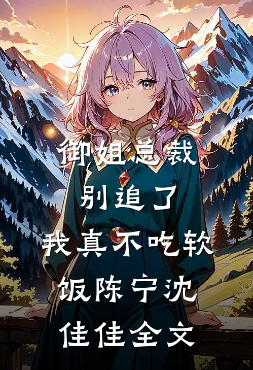 御姐总裁别追了，我真不吃软饭陈宁沈佳佳全文