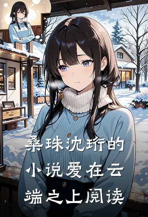 桑珠沈珩的小说爱在云端之上阅读