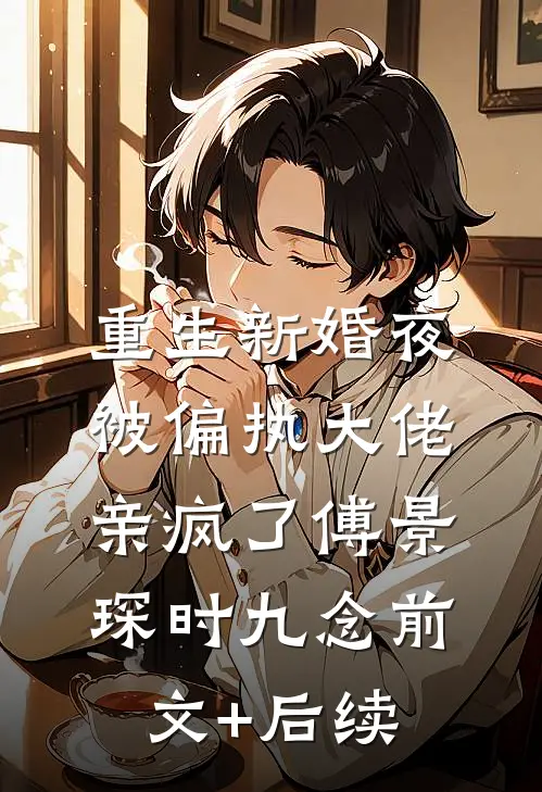 重生新婚夜，被偏执大佬亲疯了傅景琛时九念前文+后续