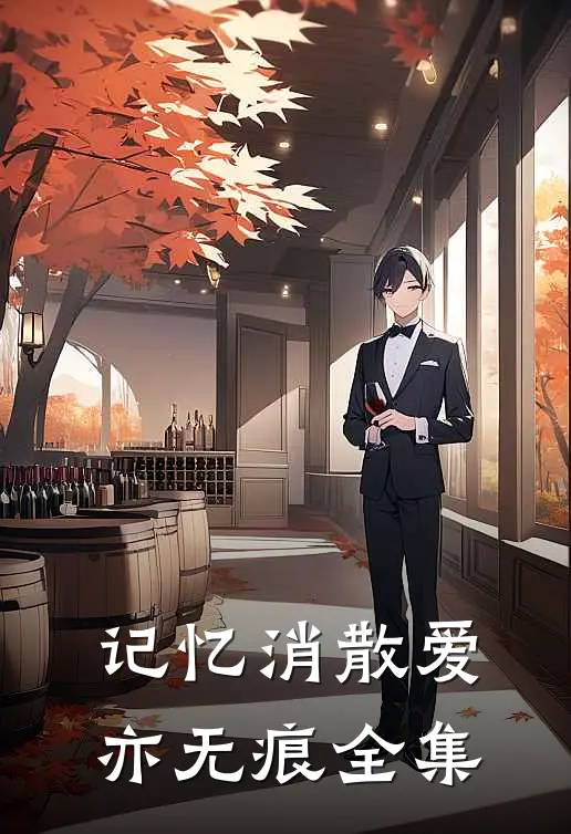 记忆消散爱亦无痕全集
