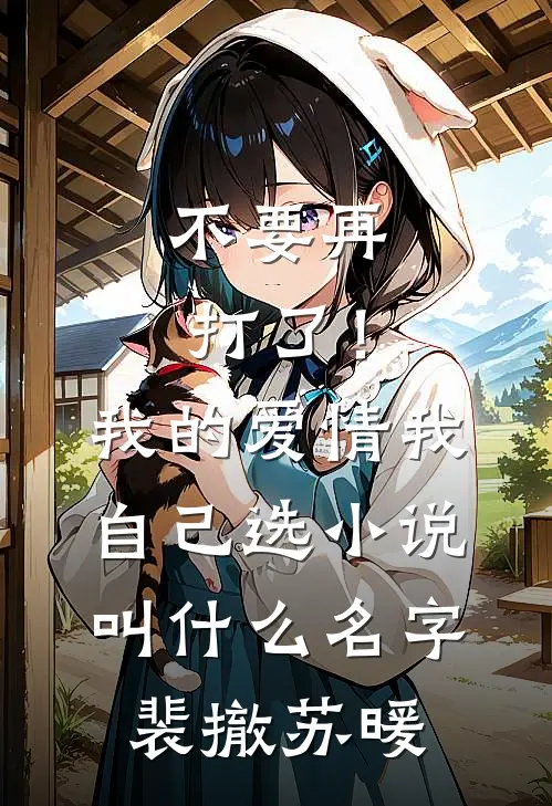 不要再打了！我的爱情我自己选小说叫什么名字裴撤苏暖