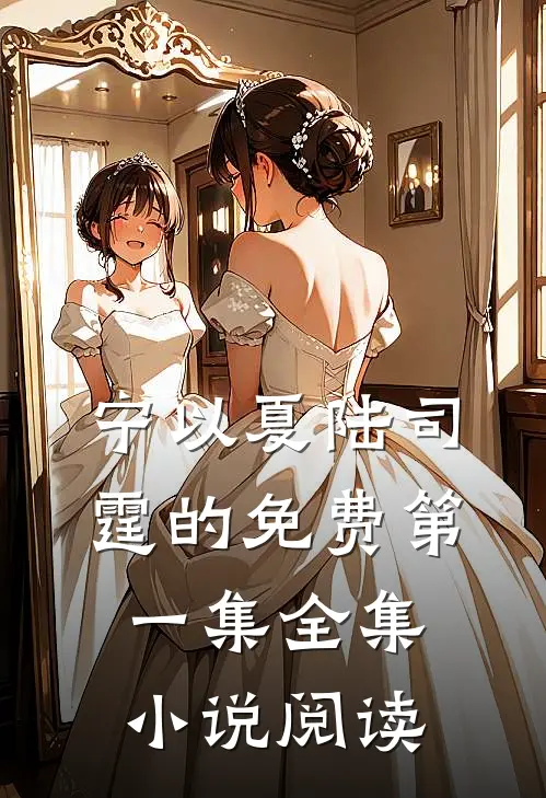 宁以夏陆司霆的免费第一集全集小说阅读
