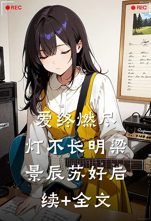 爱终燃尽，灯不长明梁景辰苏好后续+全文