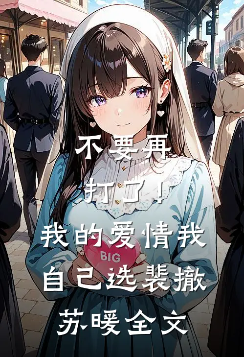 不要再打了！我的爱情我自己选裴撤苏暖全文