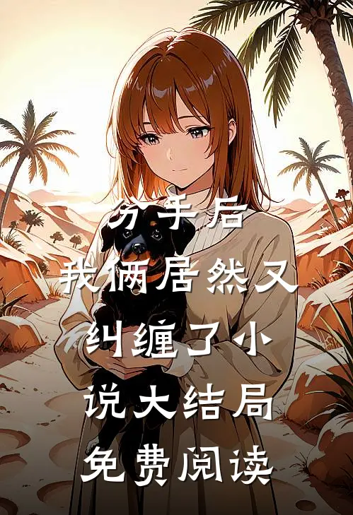 分手后，我俩居然又纠缠了小说大结局免费阅读