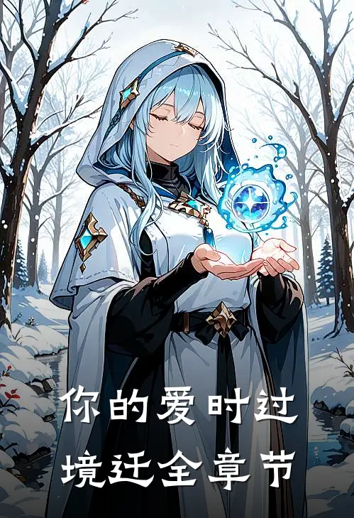 你的爱时过境迁全章节