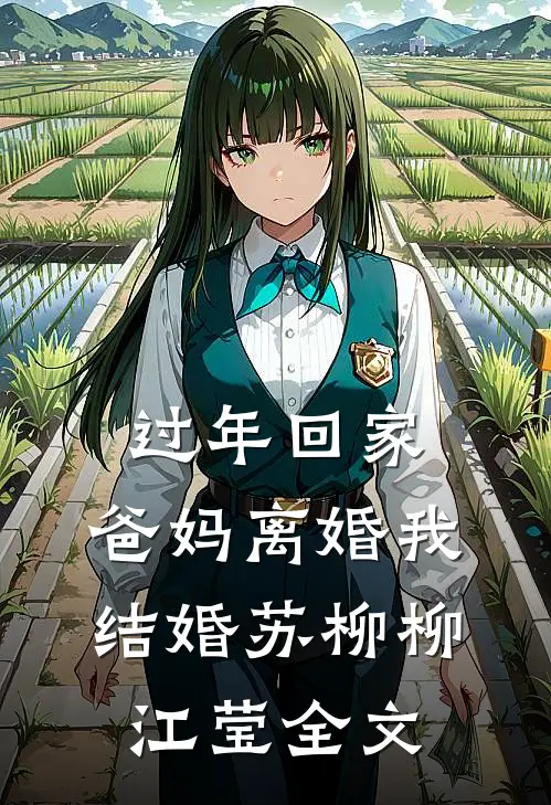 过年回家，爸妈离婚我结婚苏柳柳江莹全文