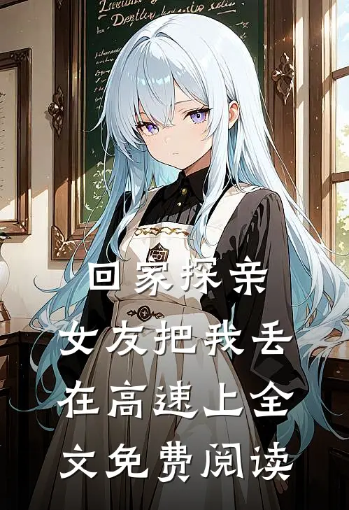回家探亲，女友把我丢在高速上全文免费阅读