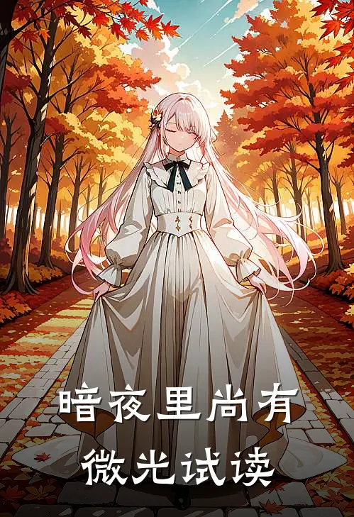 暗夜里尚有微光试读