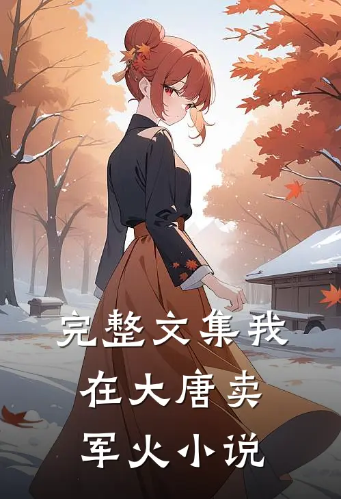 完整文集我在大唐卖军火 小说
