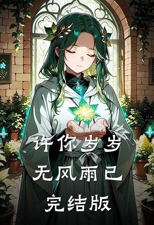 许你岁岁无风雨已完结版