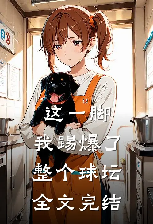 这一脚,我踢爆了整个球坛全文完结了吗
