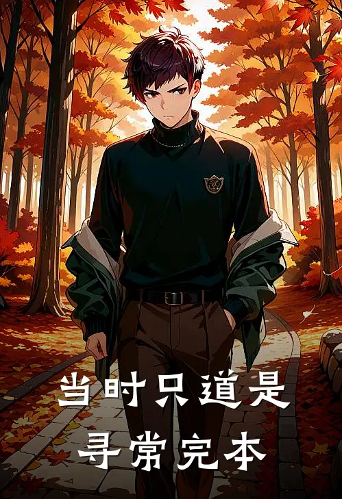 当时只道是寻常完本