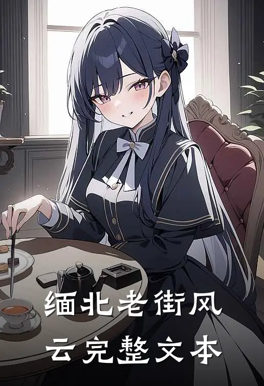 缅北老街风云完整文本