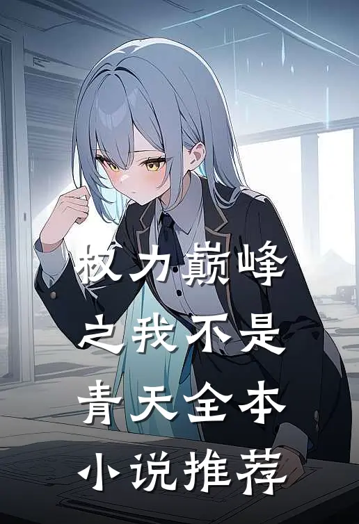 权力巅峰之我不是青天全本小说推荐