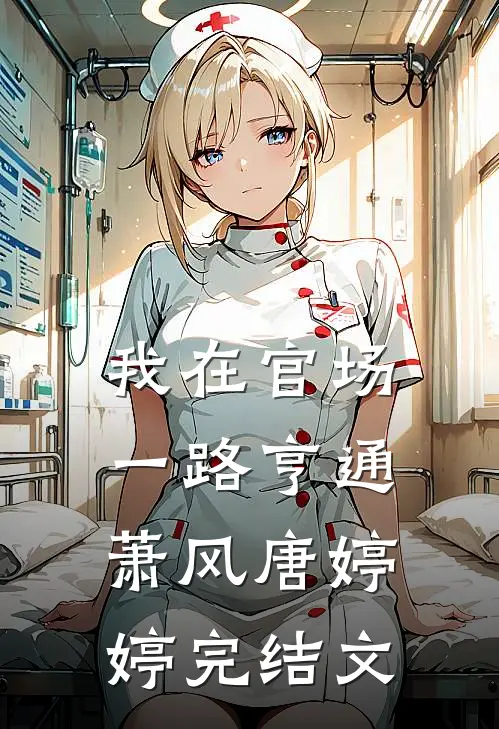 我在官场一路亨通萧风唐婷婷完结文